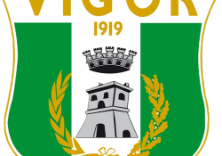 Vigor Lamezia logo
